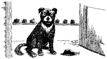 Душа собаки. Иллюстрация № 1