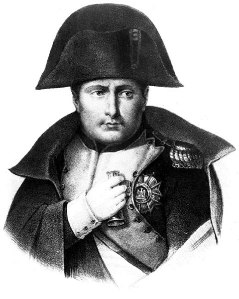 Вторая жизнь Наполеона. Иллюстрация № 1
