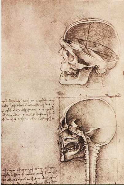 Леонардо да Винчи (1452-1519). Иллюстрация № 11