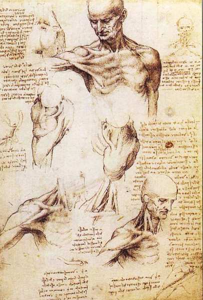 Леонардо да Винчи (1452-1519). Иллюстрация № 13