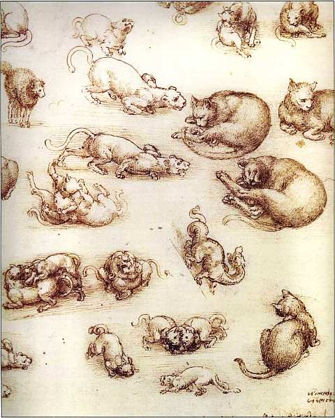 Леонардо да Винчи (1452-1519). Иллюстрация № 14