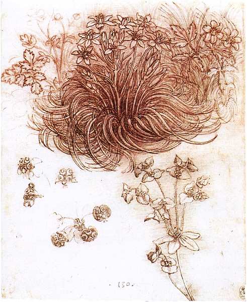 Леонардо да Винчи (1452-1519). Иллюстрация № 15