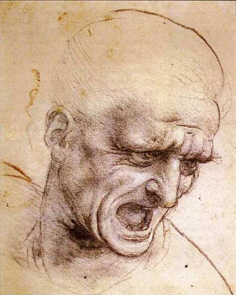 Леонардо да Винчи (1452-1519). Иллюстрация № 17
