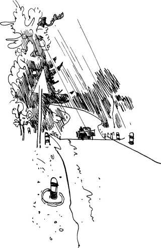 Лесные сторожа. Иллюстрация № 3