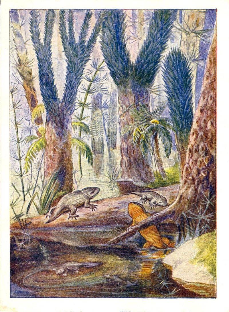 Серия рабочих картин-открыток «Вымершие животные и растения». Иллюстрация № 13