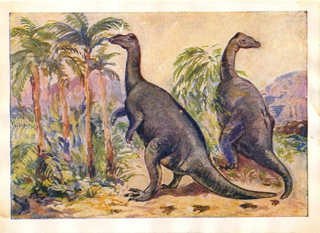 Серия рабочих картин-открыток «Вымершие животные и растения». Иллюстрация № 17