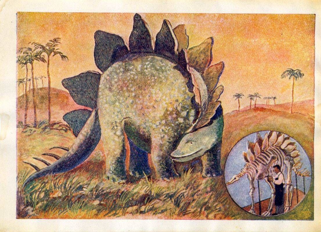 Серия рабочих картин-открыток «Вымершие животные и растения». Иллюстрация № 19