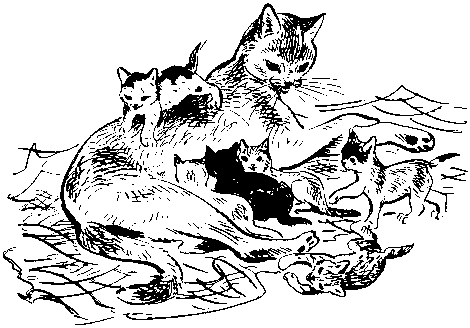 Как кошки ловят рыбу. Иллюстрация № 4