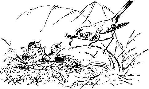 Как кошки ловят рыбу. Иллюстрация № 8