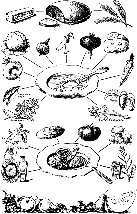 Растения в жизни человека. Иллюстрация № 4