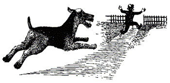 Собака, которая кусала людей. Иллюстрация № 1