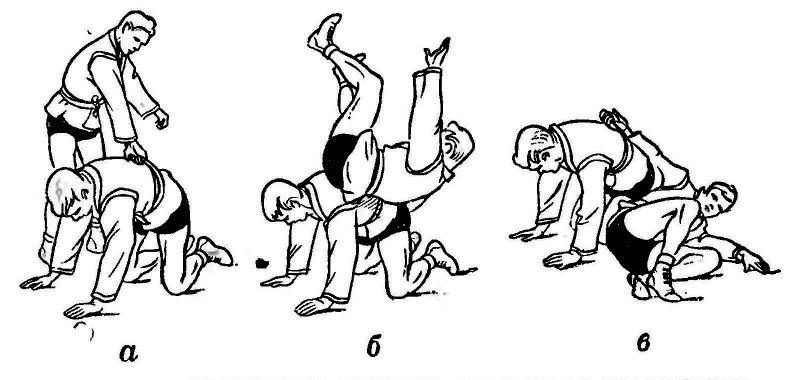 Борьба самбо. Иллюстрация № 24