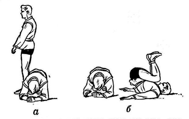 Борьба самбо. Иллюстрация № 26