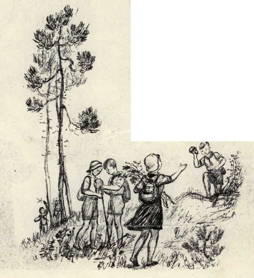 Пионер, 1951 № 05 МАЙ. Иллюстрация № 3