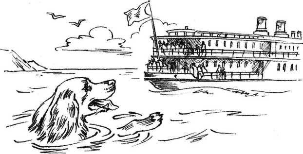 Верный друг. Рассказы о собаках. Иллюстрация № 24