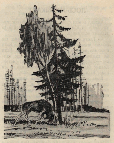 Пионер, 1951 № 06 ИЮНЬ. Иллюстрация № 8