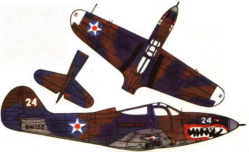 «Аэрокобры» вступают в бой (БЕЛЛ P-400, P-39D-1, P-39D-2). Иллюстрация № 66