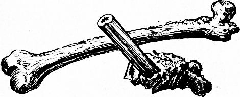 Громовая стрела. Иллюстрация № 2