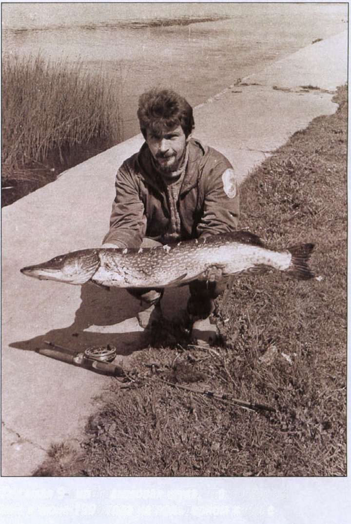 За щукой по малым водоёмам. Иллюстрация № 2