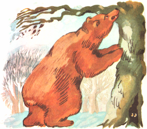 Медведь и три сестры. Иллюстрация № 5