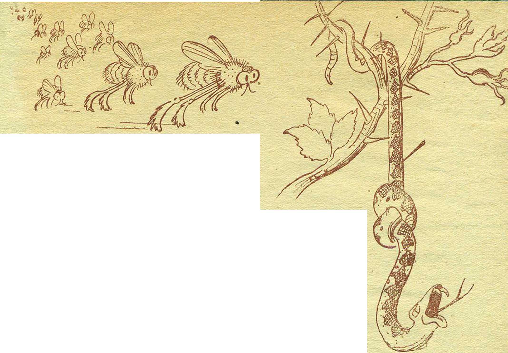 Муха-Кусуха. Иллюстрация № 26