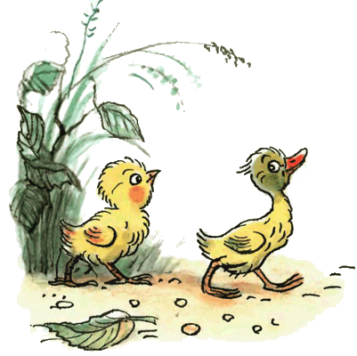 Цыпленок и Утенок. Иллюстрация № 3