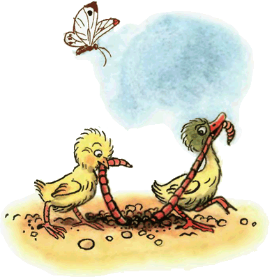Цыпленок и Утенок. Иллюстрация № 5