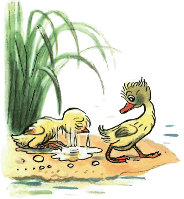 Цыпленок и Утенок. Иллюстрация № 14