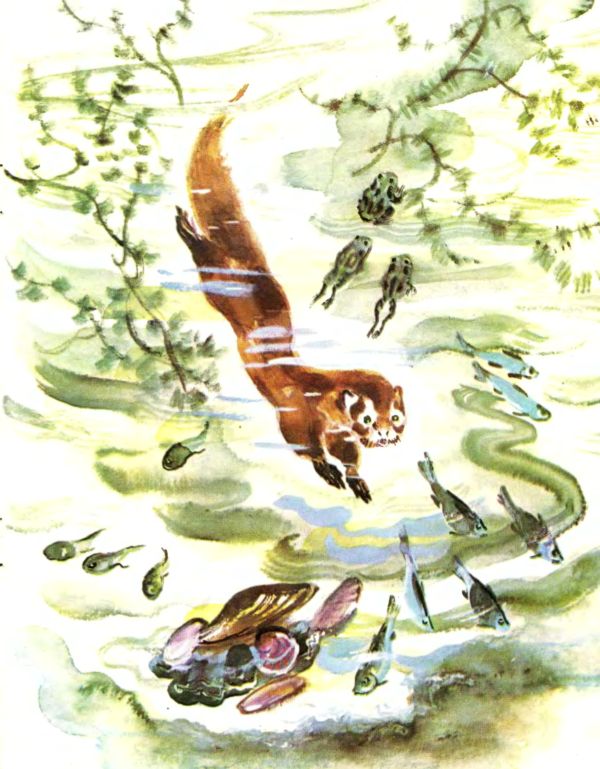 Лесные дети. Иллюстрация № 6