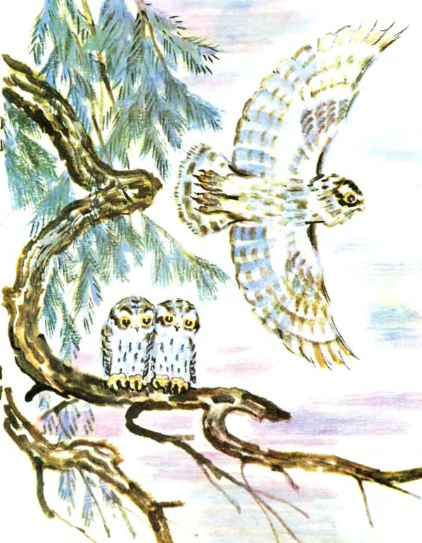 Лесные дети. Иллюстрация № 10