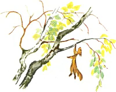 Лесные дети. Иллюстрация № 13