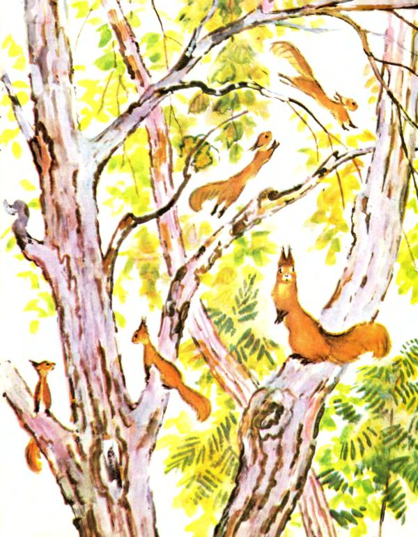 Лесные дети. Иллюстрация № 14