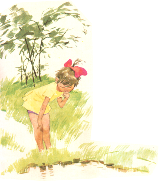 Зелёный кузнечик. Иллюстрация № 12