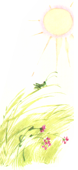 Зелёный кузнечик. Иллюстрация № 4