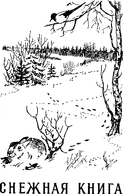 Снежная книга. Иллюстрация № 1