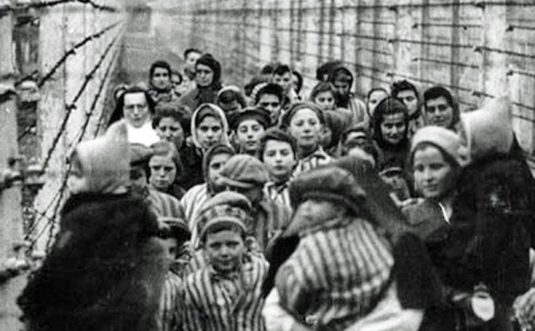 Освенцім: міфи і факти. Иллюстрация № 5