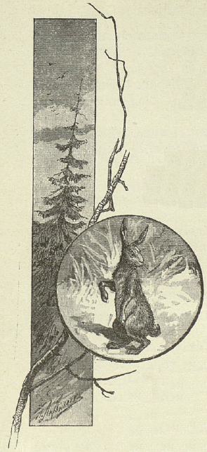 Лисичка и зайчик. Иллюстрация № 1