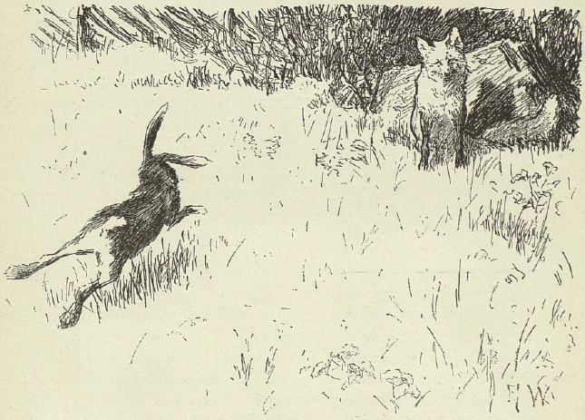 Лисичка и зайчик. Иллюстрация № 2