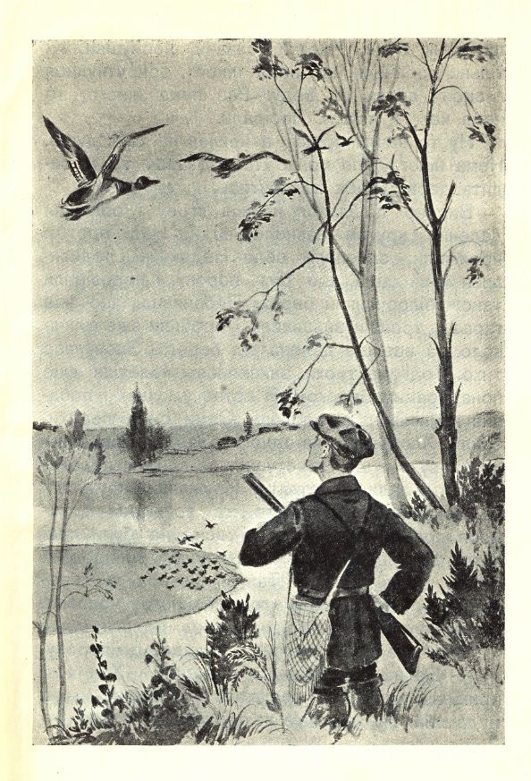 Хитрі качки (збірка). Иллюстрация № 2