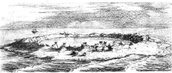 Остров Эпиорниса. Иллюстрация № 2