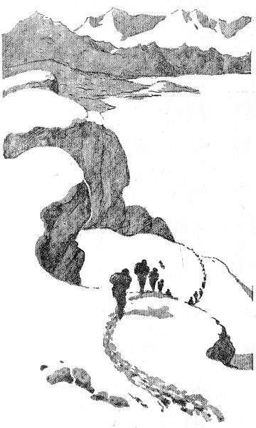 По следам снежного человека. Иллюстрация № 2