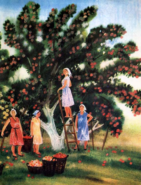 Грушевое яблочко. Иллюстрация № 5