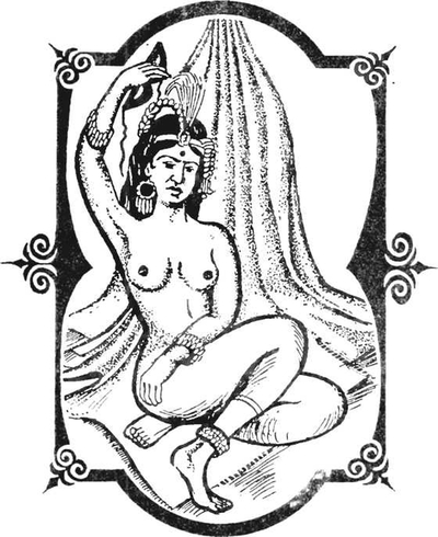 Месть Шивы (Индийские тайны с их кознями и преступлениями) Книга 1. Иллюстрация № 1