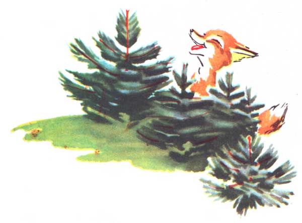 Приключения лисёнка. Иллюстрация № 6