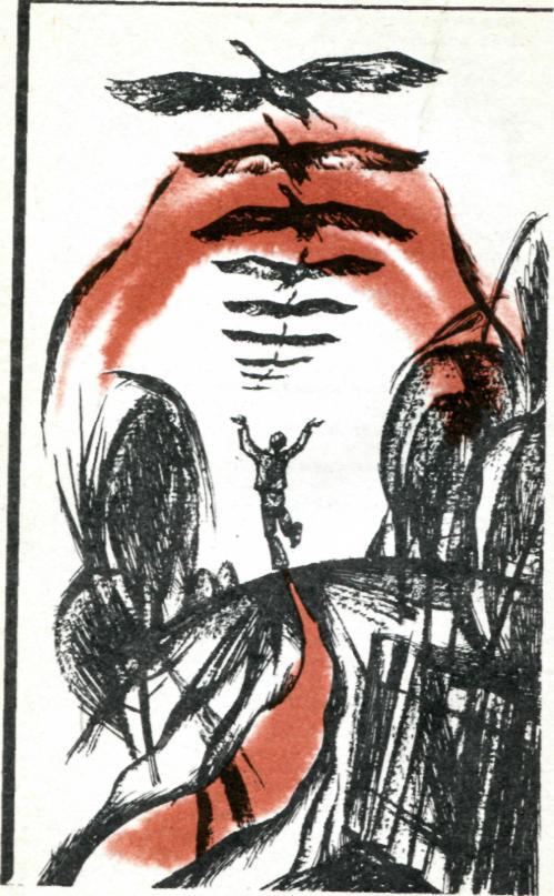 Светунец. Иллюстрация № 42
