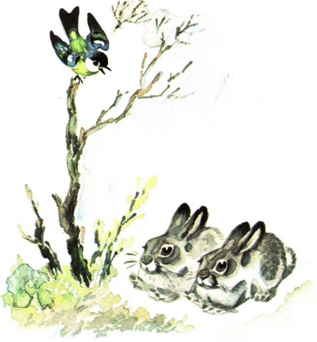 Весна в лесу. Иллюстрация № 19