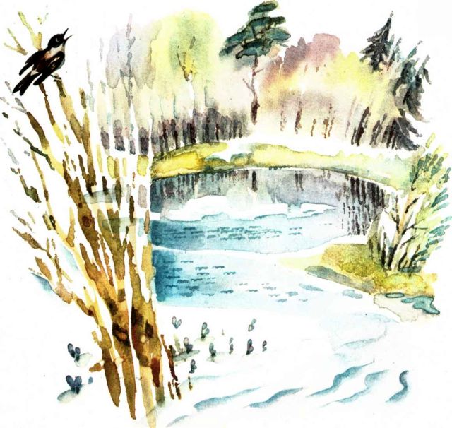 Весна в лесу. Иллюстрация № 3