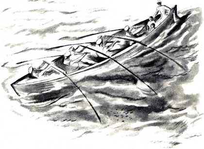 Акула. Иллюстрация № 8