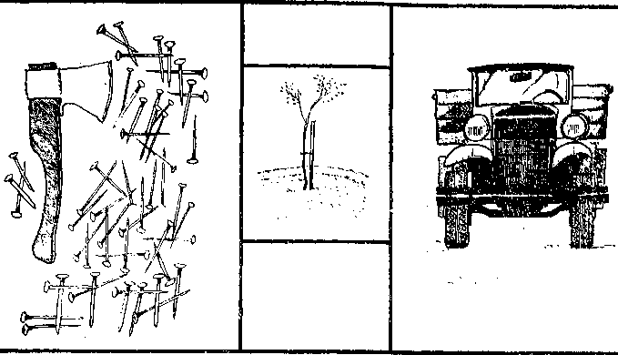 Сад. Иллюстрация № 1