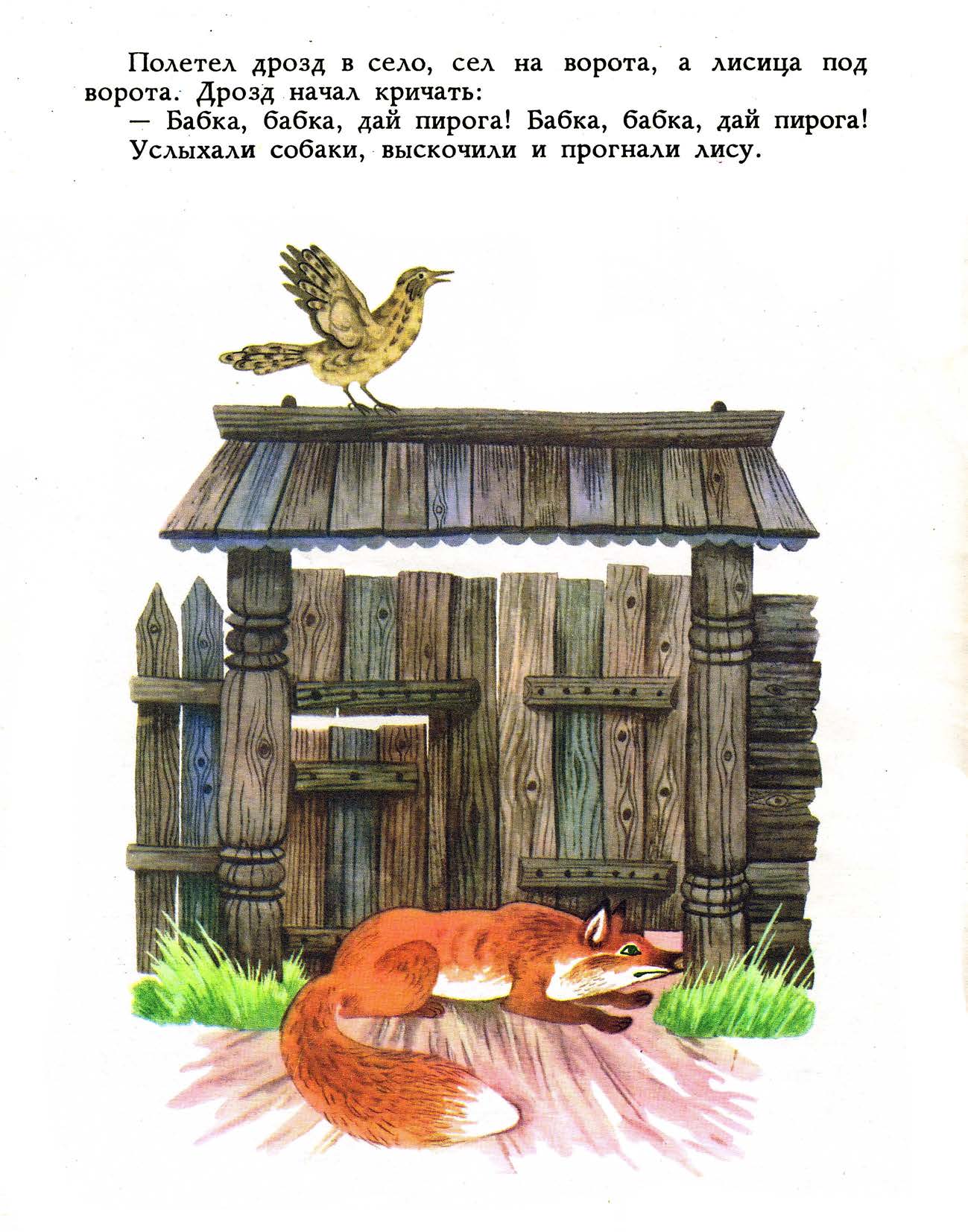 Лиса и дрозд. Иллюстрация № 14